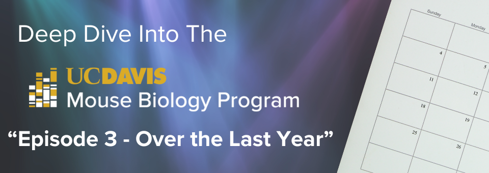 An image of Mouse Biology Program’s Latest Podcast Delves into Year of Groundbreaking Advances